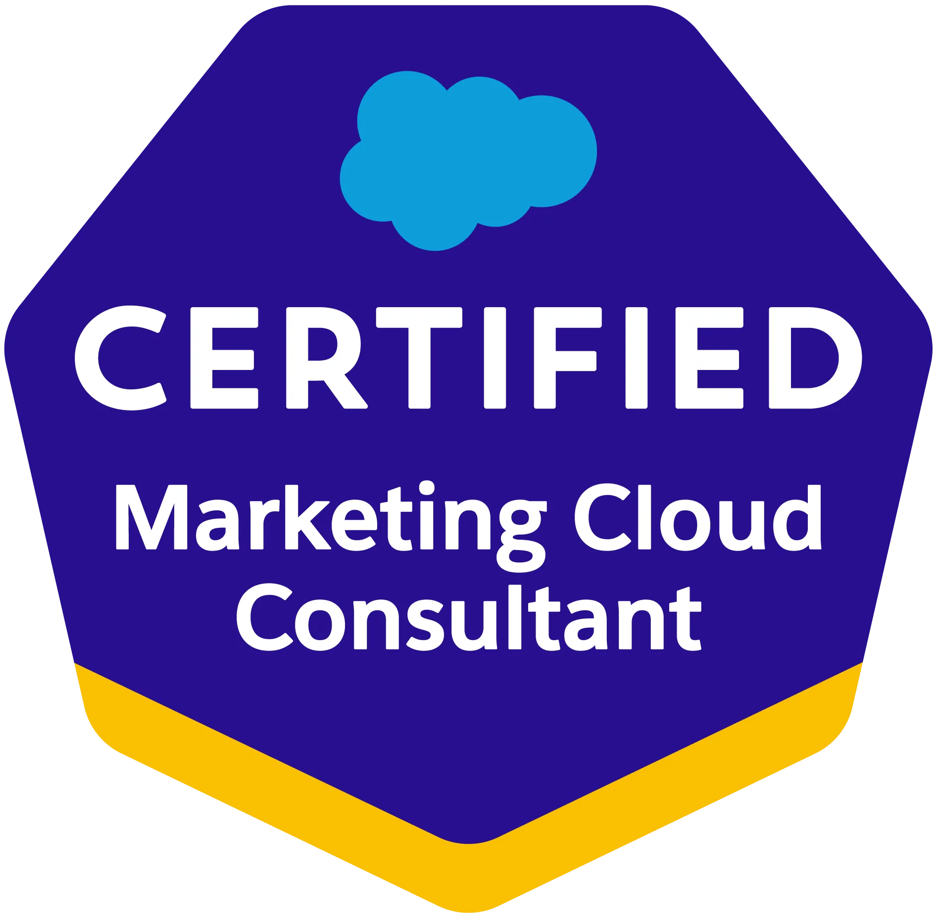 Salesforce Certified Marketing Cloud Consultant I